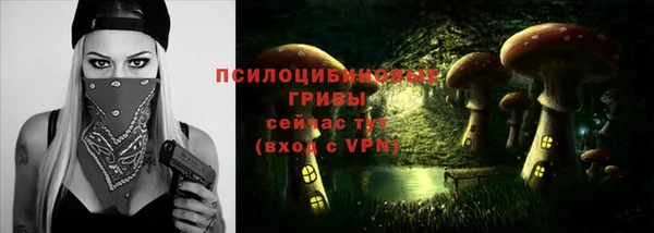 стаф Баксан