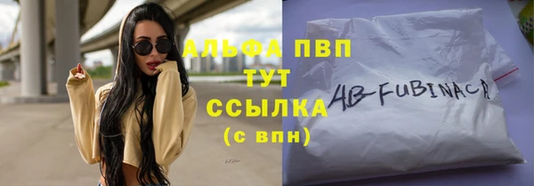 стаф Баксан